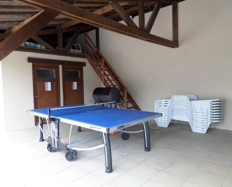 Tennis de table